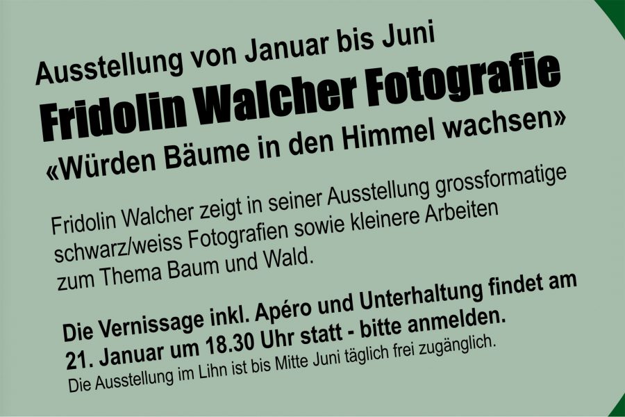 Ausstellung Fridolin Walcher