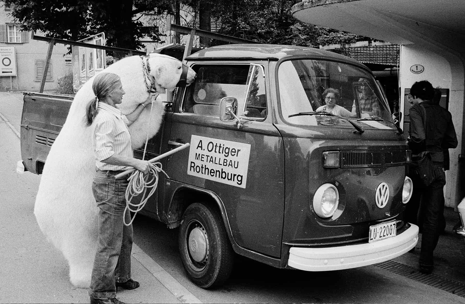 Eisbär in Rothenburg, 1976