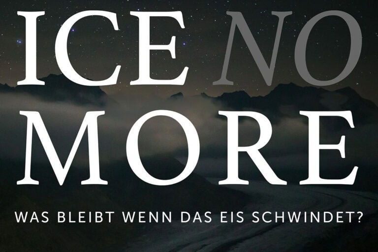 ICE NO MORE: Eine Ausstellung mit Caroline Fink, Fridolin Walcher und andern